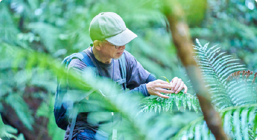 やんばるカーボンニュートラル／再生可能エネルギープロジェクト